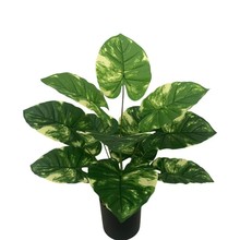 �羳����Gֲ���߾G�}��c�Ҿ��b������f����٘��~�����ø߷���