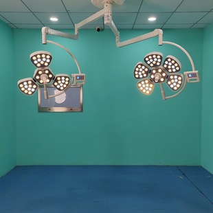 Cold Light Petal Surgical Lighting. Surgery Table Lamp, Mother-In-Law Shadowless Lamp Used by Surgical