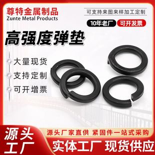 ߏȏ|ɉ|Ƭ|Ȧ\ͨP8.8p