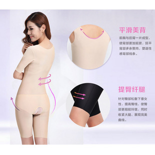 �ش�Ԋ�ӹ����Ƴ���z�o���ո��B�w��һƬʽ���w������� AAW8189