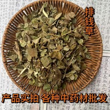 ��ș�����X�� ���[�ݡ���r�ϡ����X�ݡ���r�` ��Ʒɢ�b���l