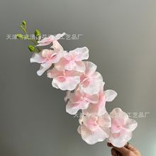 �ߙn��c��������m�ٻ���֧���滨��Y�þƵ��b�޻��Ų廨����