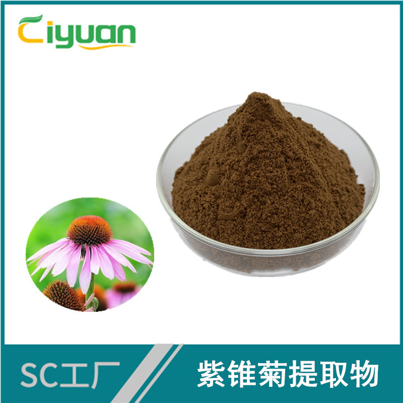 紫锥菊多酚4% 紫锥菊提取物 厂家现货供应 1公斤包邮
