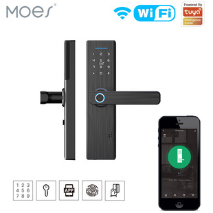 wifi graffiti smart home fingerprint lock zigbee home security homestay anti-theft smart door lock