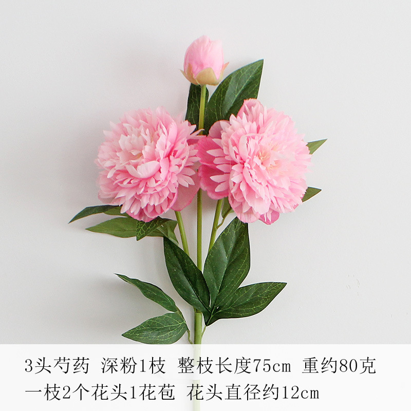 딥 파우더