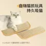 耐磨宠物猫剑麻猫薄荷
