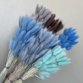 免尾草干花兔尾草真花狗尾巴草干花花束批发民宿酒店装饰拍摄道具