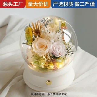 东之宝永生花透明玻璃罩圣诞节diy材料装饰手办家居摆件蓝牙音响