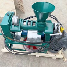 商用榨油机出口全自动核桃辣椒油葵菜籽压油机130型螺旋榨油机