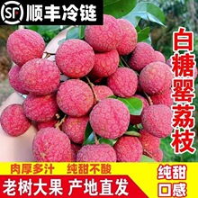 ��֦���rˮ������Ц������������֦������һ���r����S�a��ֱ�l