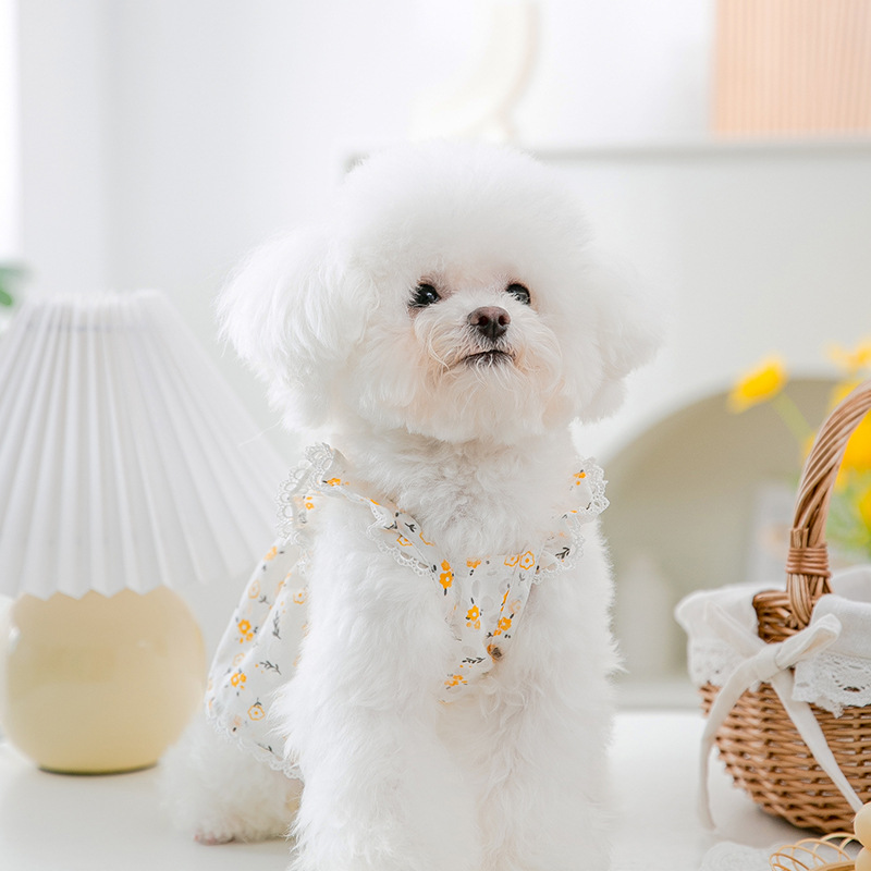 Primavera y verano cachorro vestido floral hueco fresco mediano y pequeño perro gato falda de dos patas ropa de perro mascota