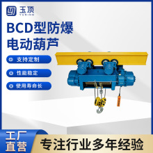 BCD型防爆钢丝绳电动葫芦三级四级单双速固定运行式电动葫芦供应