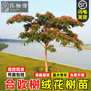 �Ϛg����ܽ�ػ��e��ͥԺ�����ͺ��G�������L�����ܘ����ԺϚg����