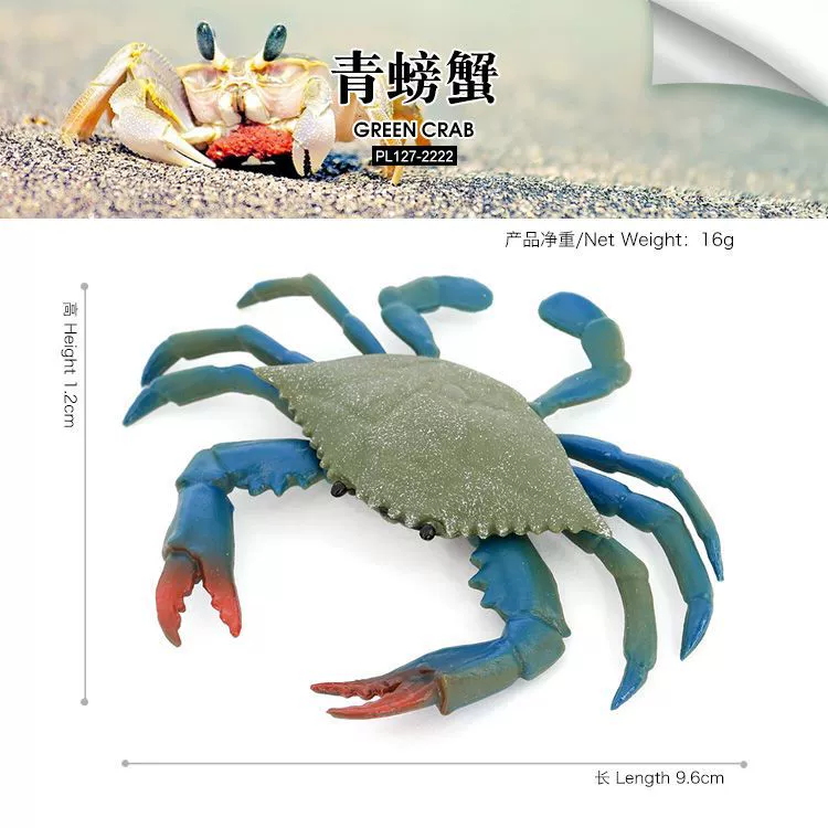 Реалистичная морская животная модель, обучающая игрушка, морское дно