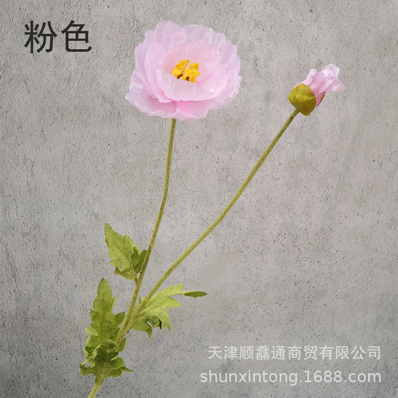 大虞美人粉色1.jpg