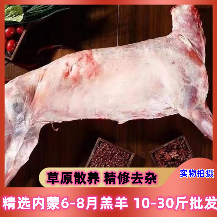新鲜内蒙全羊白条羊烤全羊羔羊整羊鲜羊肉羊排羊腿羊蝎子10-30斤