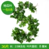 Caiyin 36 Leaf Establishing sweet potato leaves (5 packs)
