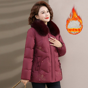 �������b�ӽq�Ӻ��޷�С�����������������Ů�b��ů���\���e����