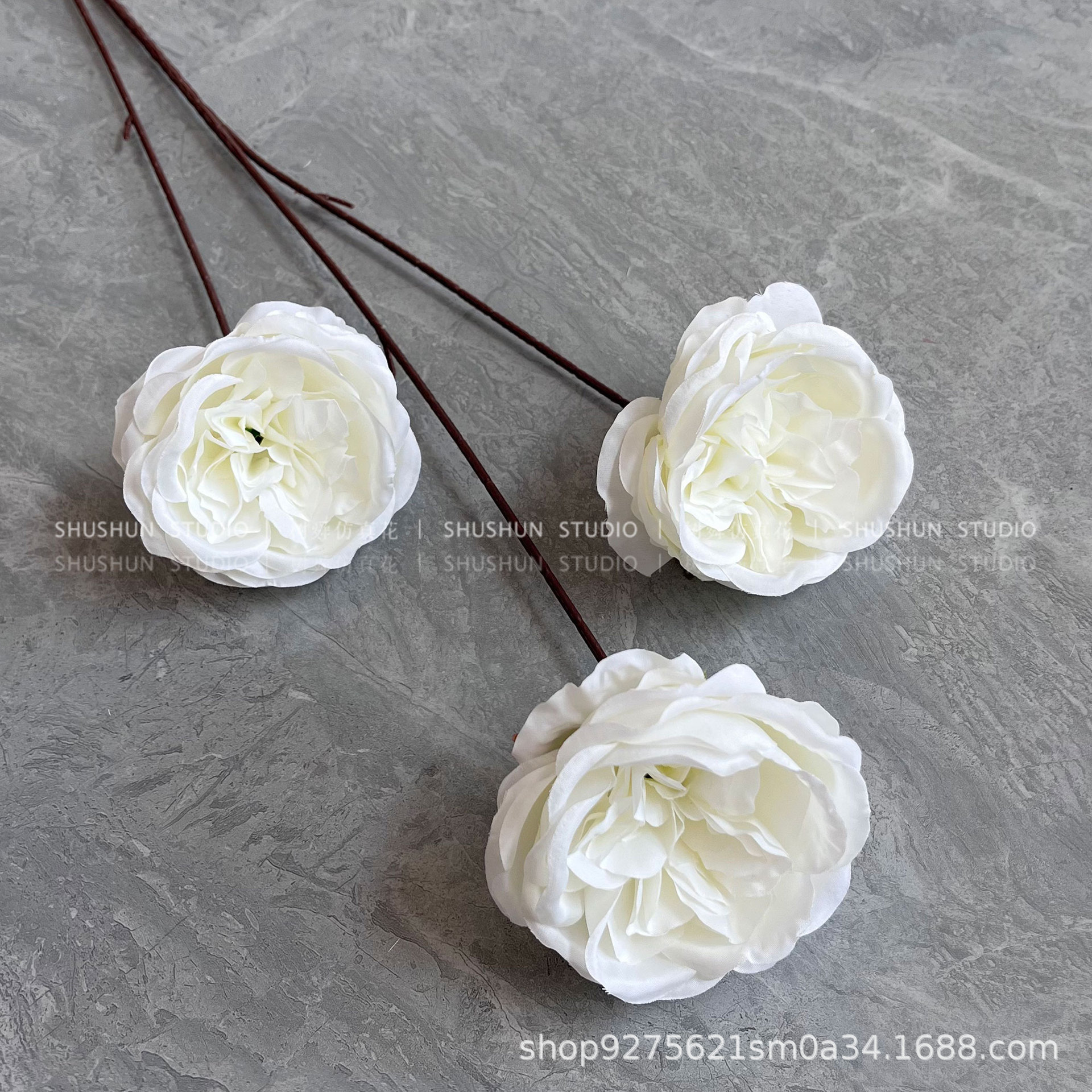 3 cabezas Austin-blanco