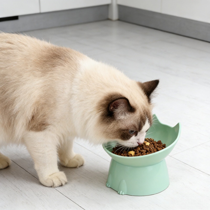 Cocos para mascotas de boca inclinada para gatos y perros, cuenco de alimentación para gatos, cuenco de arroz para gatos, cuenco de pies altos, cuenco de gatos al por mayor.