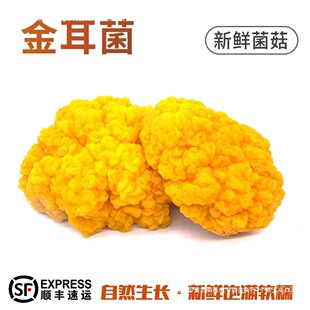 ���]���r����������r�_����S���]��Ͼ���������ʳ�������ʳ��