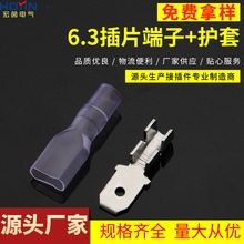 6.3��Ƭ ���0.8mm 250���˽Ӿ����� DJ616A-6.3&times;0.8B