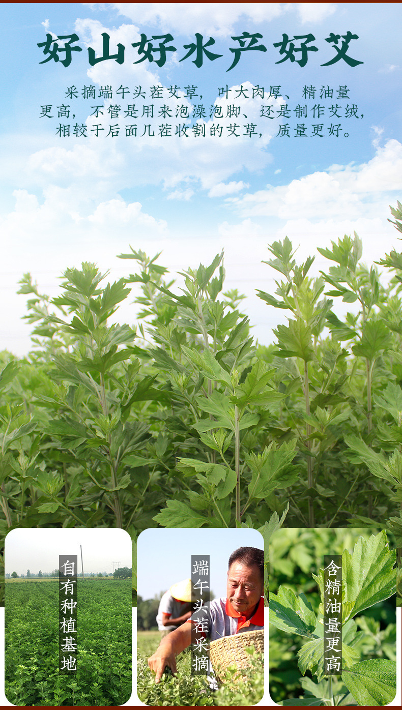 Premium Dried Mugwort Leaves Ai Ye 500g Bath and Foot Soak Herb Pack with 5 Non-Woven Bags specifications