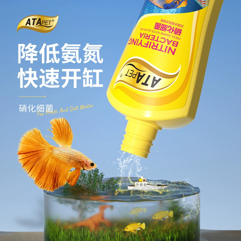 Нитрифицирующие бактерии ATA, очистка воды в аквариуме, аквариум, нитрифицирующие бактерии, очистка качества воды, культура бактерий, улучшение очистки воды