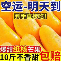 海南金黄マンゴー 新鮮な水仙マンゴー 1kg フルボックス 薄皮 季節のフルーツ 妊婦 果樹園 直送 送料無料