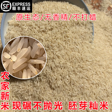 江西宜春农村白米自种晚稻大米未抛光米含胚芽不打蜡乡下新米籼米