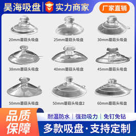 厂家批发 PVC大小蘑菇头吸盘 真空透明塑料塑胶玻璃吸盘 玩具宠物