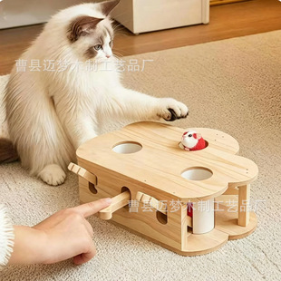 ��ľ�W�t����؈��������؈���؈��������߃�ͯ�ˌ���������