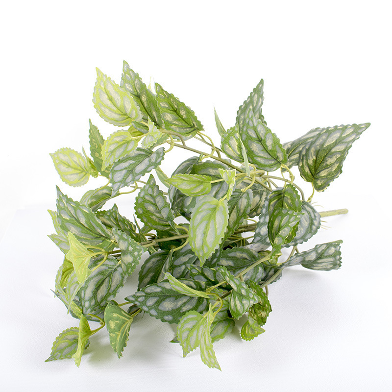 10 flores de agua fría