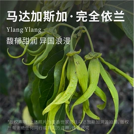 单方精油;其它精油芳疗;复方精油