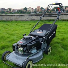 ����19/21���ƺ�CSP196/216��ƺ���ݙC�X�ױP˦�������޼���ƺ܇