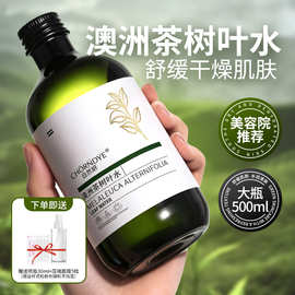澳洲茶树叶水淡化痘印收细毛孔淡痘改善油光毛孔舒缓爽肤水
