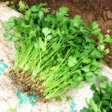 �������ļ����~������r�߲���˺óԺ��B������������r�ҷN���