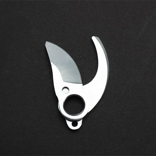 2024-03-26 13:07:14.jpg