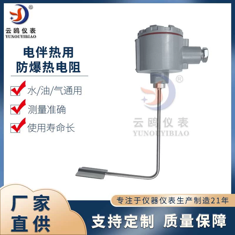 Электрические сопроводительные тропические взрывозащищенные тепловые резисторы WZPKT-146PT100 настенные трубки платиновые тепловые резисторы поверхностные патч