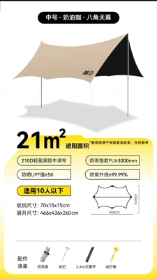 Explorer Black Glue Canopy Avtomobil yan çətirləri - 21vinyl-canopy-