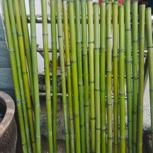 ������׃��@��ٵ�ɽ����Έ������σ�ͯ��c������rС��������