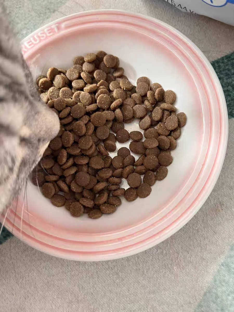 a941e3be-cbec-4296-ad0f-05bdd1bc7288.jpe