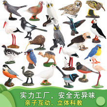 �羳�����w���B���ģ�͞����{��������ϲ�o�L�^�Q��ͯ�J֪�[��