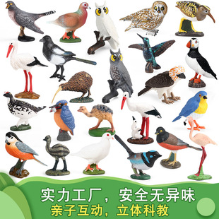 �羳�����w���B���ģ�͞����{��������ϲ�o�L�^�Q��ͯ�J֪�[��
