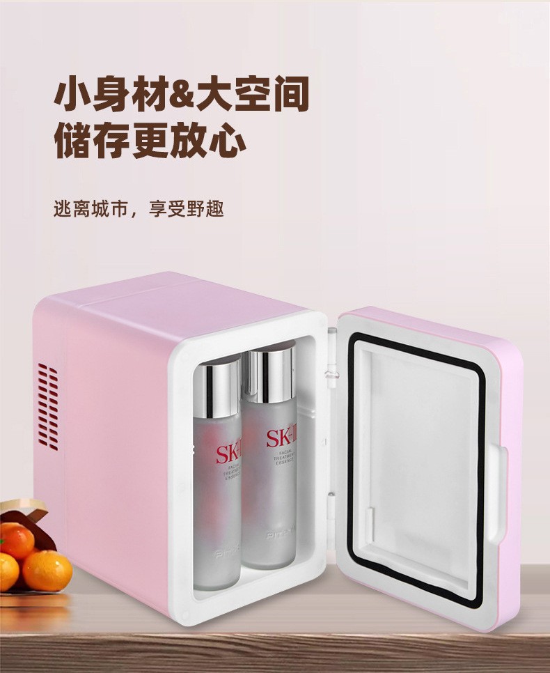 Car Beauty Mini Refrigerator Car Home Dual-use Refrigerator with Light and Mirror Multi-functional Mini Incubator