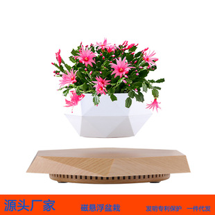 �őҸ����Ի��脓���辰��ˇƷ�YƷins�L�[�����