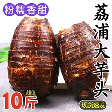 广西荔浦新鲜大芋头10斤粉香芋现挖槟榔芋小芋头旗舰店整箱5