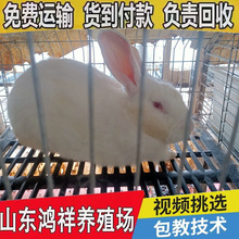 ���û���������lɽ�|�����緱�������깩�����w�����m��������]