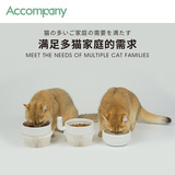 Аккупация кактус, ладонь, местная семейство кошек Экологически чистая посуда, белый порошковый порошок с высоким содержанием шейки матки