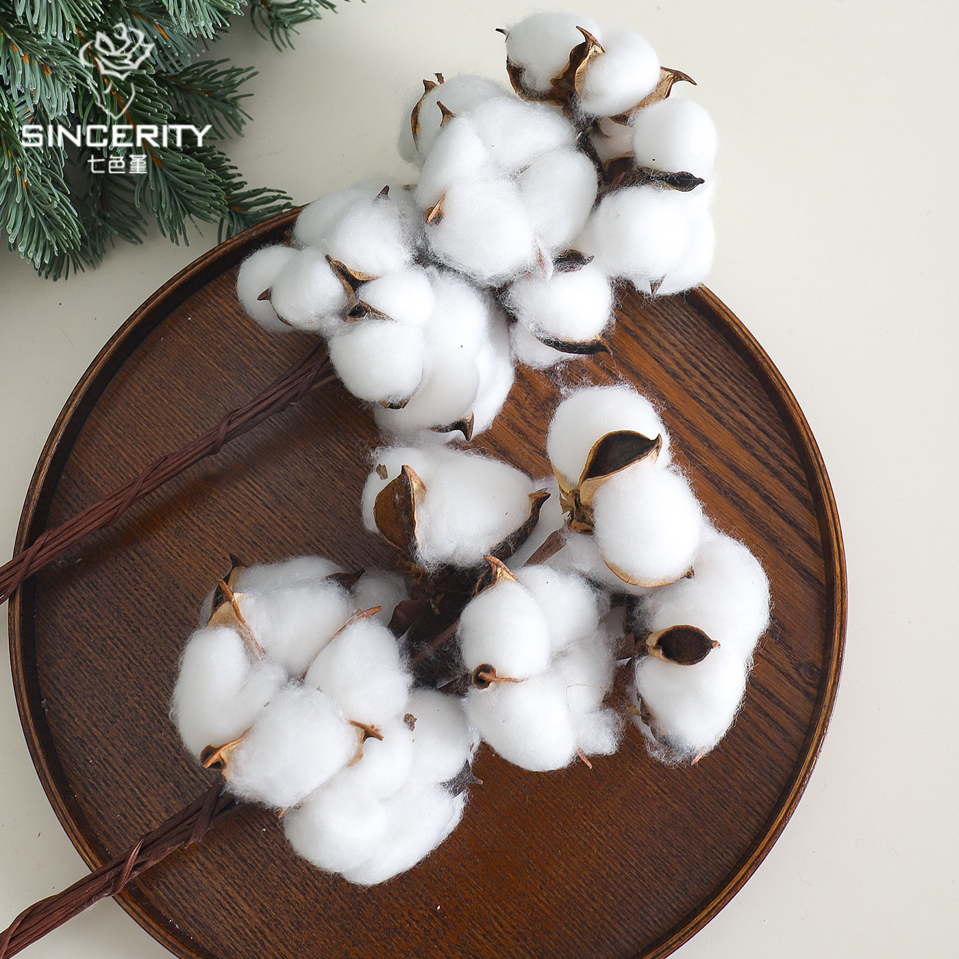 Navidad ins caparazón de algodón natural con varilla flor seca flor artística DIY accesorios ramo florista material de decoración